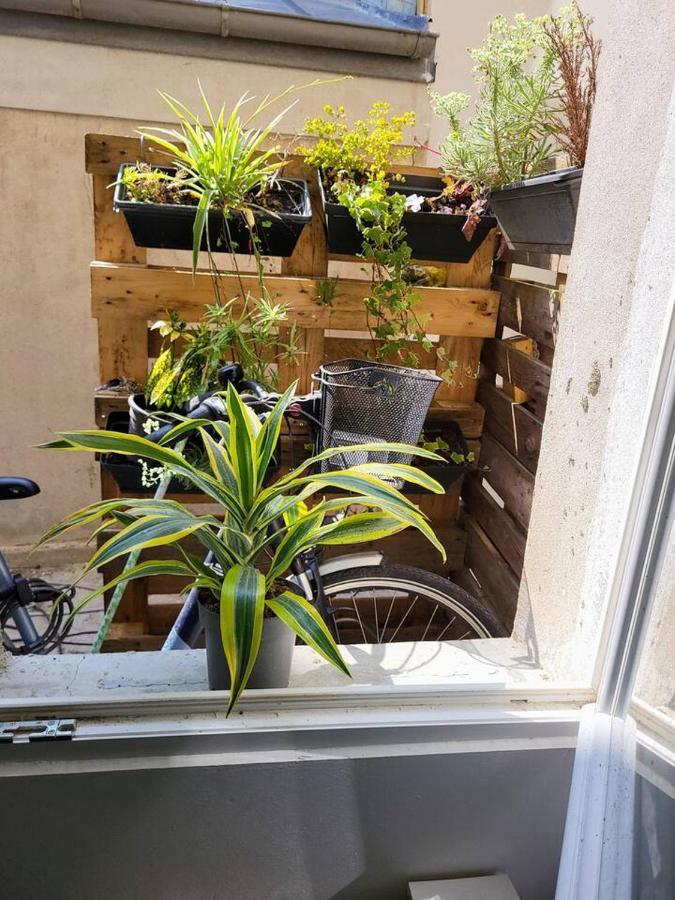 Cosy Appartement Hyper Centre-Ville Quimper Eksteriør bilde